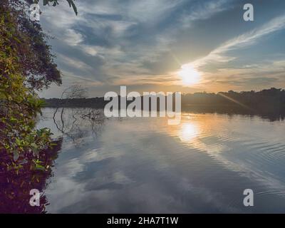 Fantastischer grüner Amazonas-Dschungel über der Jaguar Lagune (Onza Lagune).während der Sonnenuntergangszeit Amazonien. Brasilien. Südamerika Stockfoto