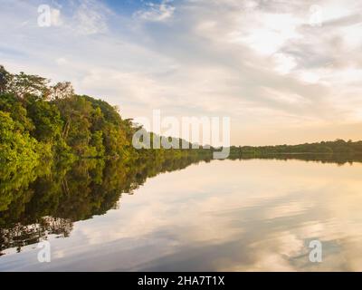 Fantastischer grüner Amazonas-Dschungel über der Jaguar Lagune (Onza Lagune).während der Sonnenuntergangszeit Amazonien. Brasilien. Südamerika Stockfoto