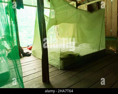 Einfache Unterkunft unter Moskitonetzen im Regenwald Amazonas. Amazonien. Lateinamerika. Stockfoto