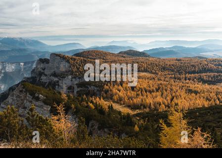 Herbstwald auf der Hochebene von Asiago in Italien Stockfoto