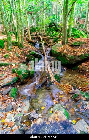 Wandern zu den Nagelsteiner Wasserfällen in den bayerischen Wäldern Stockfoto