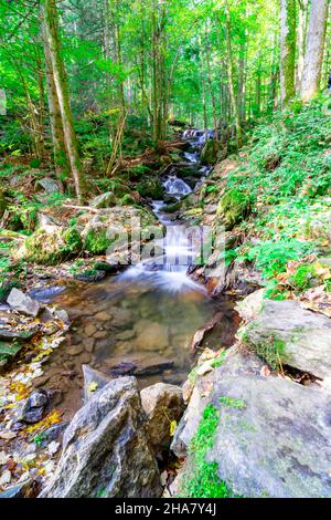 Wandern zu den Nagelsteiner Wasserfällen in den bayerischen Wäldern Stockfoto