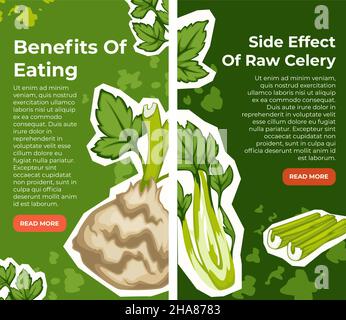 Nebenwirkungen und Vorteile des Verzehrs von Sellerie, vor- und Nachteile einschließlich Zutaten in der Speisekarte. Positiv und negativ, Diät und Ernährung, vegetarisch und V Stock Vektor