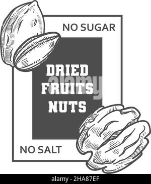 Natürliche und biologische Snacks, getrocknete Früchte und Nüsse, ohne Zucker oder Salz hinzugefügt. Isoliertes Logo von Shop, Pistazie und Walnuss. Monochrome Skizzenumrisse Stock Vektor