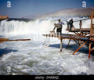 1950S INDIANER DIPNET FISCHEREI CELILO FÄLLT STROMSCHNELLEN BEVOR DALLES-STAUDAMM AUF DEM COLUMBIA-FLUSS DIE WASSERFÄLLE ÜBERFLUTETE OREGON USA - KF2657 LAN001 HARS NORDAMERIKA NORDAMERIKA VOR ABENTEUER STÄRKE WASSERFALL NIEDRIGEN WINKEL MÄCHTIGEN FORTSCHRITT DAMM COLUMBIA BESCHÄFTIGT POLITIK VERBINDUNG BEWEGUNG VERSCHWIMMEN WEISSES WASSER STROMSCHNELLEN ÜBERFLUTET INDIANISCHEN ODER STÄMME ZUSAMMENARBEIT INDIANISCHEN AMERIKANER OREGON ZWEISAMKEIT STAMMES WALLA WALLA INDIGENEN ALTEN MODISCH Stockfoto