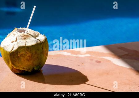 Frische Kokosnuss mit Pool Hintergrund Stockfoto