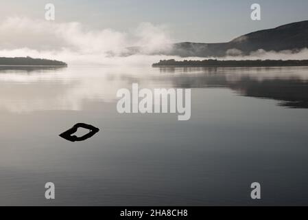 Objekte und Nebel auf dem Wasser Loch Lomond, Schottland Stockfoto