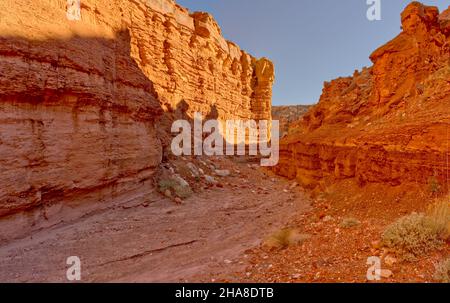 Upper Cathedral Wash im Glen Canyon Recreation Area Arizona. Dieser Weg führt zu den Vermilion Cliffs. Stockfoto