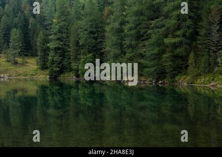 Schöner Anblick eines schimmernden grünen Sees, mit einem bewaldeten Ufer und Reflexionen im Wasser Stockfoto