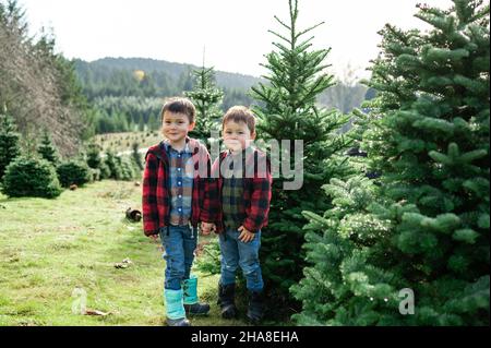 Brüder stehen vor dem weihnachtsbaum Stockfoto