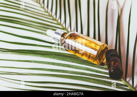 Flaschen mit ätherischem Öl auf frischem Palmblatt auf weißem Hintergrund, Nahaufnahme Stockfoto