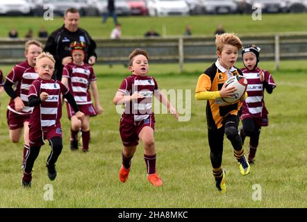 Junior Tag children Rugby Action UK Britain UK children children Sport gesunde Aktivität Sport Jungen Sport Stockfoto