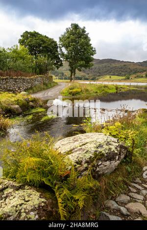 Großbritannien, Cumbria, Allerdale, Watendlath, ford über Watendlath Beck am Tarn Stockfoto