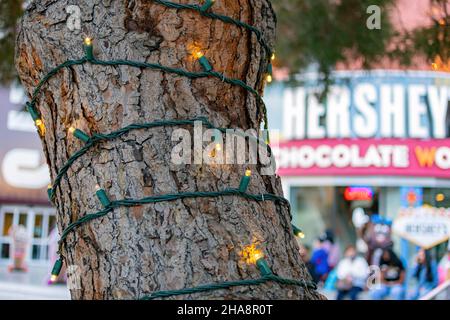 Las Vegas, MÄR 22 2021 - Nahaufnahme einer Glühbirne auf einem Baumstamm mit Hershey's Chocolate World Schild dahinter Stockfoto