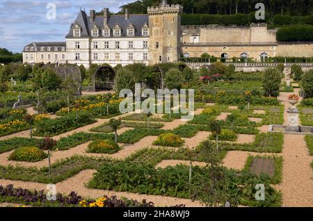 Die Gärten des Schlosses Villandry im Loiretal, Frankreich, sind ein Meisterwerk. Stockfoto