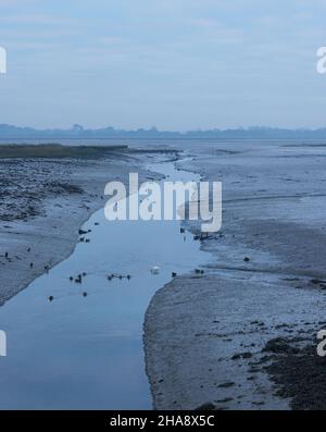Wattflächen im Pagham Harbour Nature Reserve bei Ebbe. Stockfoto