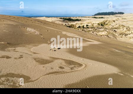 Windgepeitschte Muster in den Sanddünen bei Lakeside in Oregon, USA Stockfoto