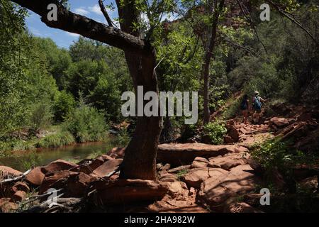 Zwei Wanderer auf dem Cathedral Rock Trail in der Nähe von Sedona, Arizona neben Oak Creek Stockfoto