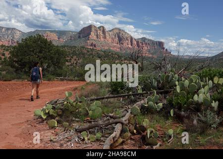 Eine weibliche Wanderin auf dem Cathedral Rock Trail in der Nähe von Sedona, Arizona. In der Ferne befinden sich Zinnen und Spitzen, die aus permianrotem Sandstein erodiert sind. Stockfoto