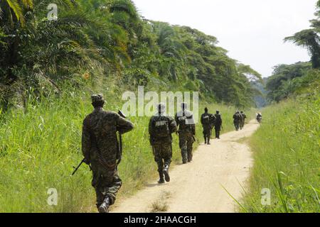 (211212) --, 12. Dezember 2021 (Xinhua) -- Soldaten werden während einer gemeinsamen Militäroperation gegen Streitkräfte auf dem Gebiet von Beni, im Nordosten der Demokratischen Republik Kongo, am 11. Dezember 2021, gesehen. Die Streitkräfte der Demokratischen Republik Kongo (FARDC) und der ugandischen Volksverteidigungskräfte (UPDF) haben am Samstag die erste Bewertung ihrer gemeinsamen Militäroperationen gegen Rebellen der Alliierten Demokratischen Kräfte (ADF) veröffentlicht, die seit November 30 auf dem Gebiet von Beni im Nordosten der Demokratischen Republik Kongo durchgeführt wurden. DAZU: 'DR Kongo, Uganda erklären nach der Bewertung der gemeinsamen Meilen eine ruhige Lage im Nordosten der Demokratischen Republik Kongo Stockfoto