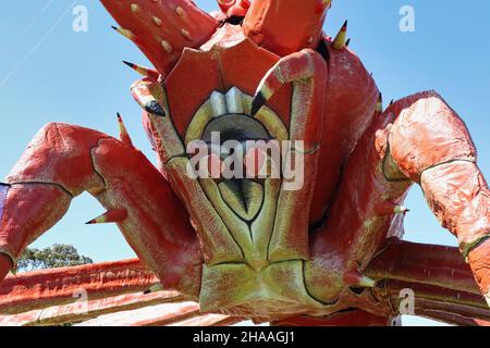 Nahaufnahme des großen Hummers „Larry the Lobster“ Stockfoto