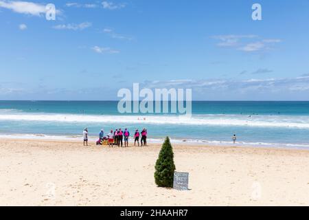 Weihnachts- und Weihnachtsbaum sitzen allein am Strand von Manly Beach in Sydney, Sommer zu Weihnachten, NSW, Australien Stockfoto