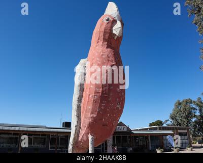 The Big GALAH in Kimba, Südaustralien Stockfoto