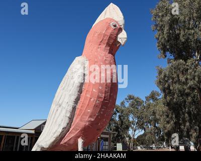 The Big GALAH in Kimba, Südaustralien Stockfoto