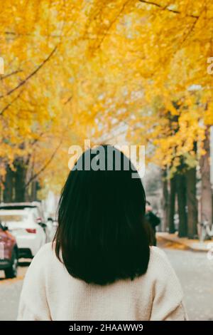 Hinten eine Frau im Vordergrund, die im Hintergrund auf die Straße voller goldener Ginkgo-Bäume blickt und ein Foto macht Stockfoto