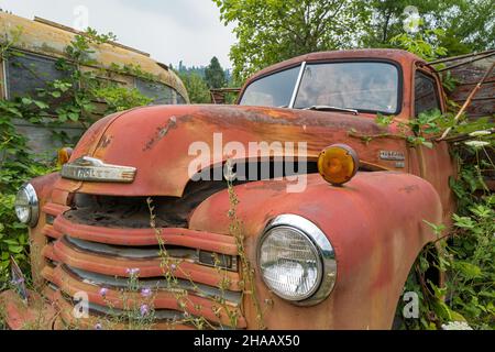 Die Motorhaube ist auf einem Chevy Truck aus dem Jahr 1948 in einem Schrottplatz in Idaho, USA, aufgebrochen Stockfoto