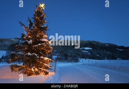 Bad Hindelang, Deutschland. 12th Dez 2021. Kurz vor Sonnenaufgang steht im Dorf Unterjoch ein geschmückter Weihnachtsbaum in der schneebedeckten Landschaft. Quelle: Karl-Josef Hildenbrand/dpa/Alamy Live News Stockfoto