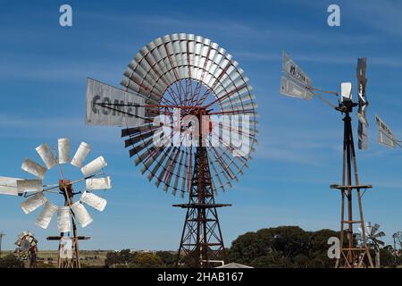 Eine Sammlung von Windmühlen und Penong Windmühle Museum Stockfoto