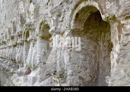 Die alte halb zerstörte Synagoge. Steinreliefsäulen in die Wand geschnitzt. Die Textur des alten verfallenen Mauerwerks. Steine mit Moos bedeckt. Raschkow, Stockfoto