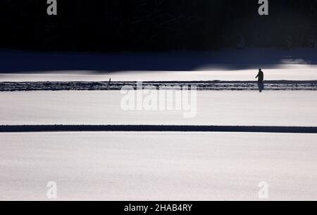 Bad Hindelang, Deutschland. 12th Dez 2021. Ein Spaziergänger geht auf einem gerodeten Weg durch die tief verschneite Landschaft im Landkreis Unterjoch im Oberallgäu. Quelle: Karl-Josef Hildenbrand/dpa/Alamy Live News Stockfoto