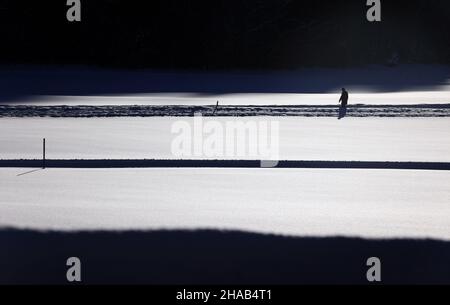 Bad Hindelang, Deutschland. 12th Dez 2021. Ein Spaziergänger geht auf einem gerodeten Weg durch die tief verschneite Landschaft im Landkreis Unterjoch im Oberallgäu. Quelle: Karl-Josef Hildenbrand/dpa/Alamy Live News Stockfoto