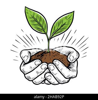 Zwei Hände, die Pflanze und Erde halten. Pflege der Natur Konzept Vektor-Illustration Stock Vektor