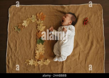 Ein Säugling liegt auf einer Musselin-Decke in der Nähe von Ahornblättern, die in Form von 1 liegen. Ein süßes Mädchen in einteiliger Kleidung gähnt und feiert ihre 1 Stockfoto