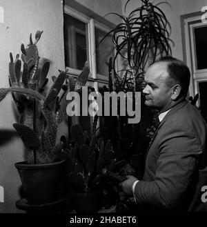 Polska, 1969. In¿. Jerzy Szafrañski wœród swojej kolekcji kaktusów. W zbiorach znajduj¹ siê m.in. Okazy z grup: Opuncji, epiphyllum, hylocereus, cereus. uu PAP/Andrzej £okaj Dok³adny miesi¹c i dzieñ wydarzenia nieustalone. Polen, 1969. Ingenieur Jerzy Szafranski mit seiner Kaktussammlung. Die Sammlung umfasst Exemplare von opuntia, epiphyllum, Hylocereus, cereus. uu PAP/Andrzej Lokaj Stockfoto