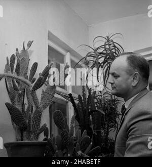 Polska, 1969. In¿. Jerzy Szafrañski wœród swojej kolekcji kaktusów. W zbiorach znajduj¹ siê m.in. Okazy z grup: Opuncji, epiphyllum, hylocereus, cereus. uu PAP/Andrzej £okaj Dok³adny miesi¹c i dzieñ wydarzenia nieustalone. Polen, 1969. Ingenieur Jerzy Szafranski mit seiner Kaktussammlung. Die Sammlung umfasst Exemplare von opuntia, epiphyllum, Hylocereus, cereus. uu PAP/Andrzej Lokaj Stockfoto