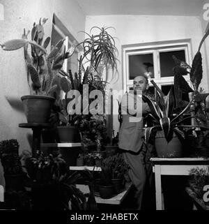 Polska, 1969. In¿. Jerzy Szafrañski wœród swojej kolekcji kaktusów. W zbiorach znajduj¹ siê m.in. Okazy z grup: Opuncji, epiphyllum, hylocereus, cereus. uu PAP/Andrzej £okaj Dok³adny miesi¹c i dzieñ wydarzenia nieustalone. Polen, 1969. Ingenieur Jerzy Szafranski mit seiner Kaktussammlung. Die Sammlung umfasst Exemplare von opuntia, epiphyllum, Hylocereus, cereus. uu PAP/Andrzej Lokaj Stockfoto