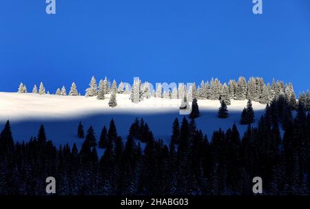 Bad Hindelang, Deutschland. 12th Dez 2021. Frostbedeckte Bäume stehen in der Sonne auf einer Bergkette im Oberallgäu. Quelle: Karl-Josef Hildenbrand/dpa/Alamy Live News Stockfoto