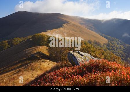 Herbstlandschaft in den Bergen. Blaubeeren aus Stein und Busch. Sonniger Tag. Karpaten, Ukraine, Europa Stockfoto