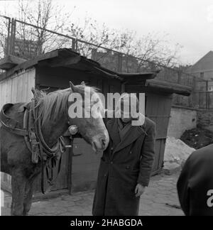 Warszawa, 1969-10-01. Konie na targu ¿ywnoœci w Warszawie. NZ. zmêczony koñ. mb PAP/Boles³aw Miedza Dok³adny dzieñ wydarzenia nieustalony. Warschau, 1. Oktober 1969. Pferde auf einem Lebensmittelmarkt in Warschau. Im Bild: Ein müdes Pferd. mb PAP/Boleslaw Miedza Stockfoto