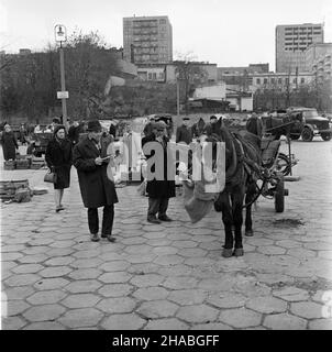 Warszawa, 1969-10-01. Konie na targu ¿ywnoœci w Warszawie. NZ. koñ zaprzêgniêty do wozu. mb PAP/Boles³aw Miedza Dok³adny dzieñ wydarzenia nieustalony. Warschau, 1. Oktober 1969. Pferde auf einem Lebensmittelmarkt in Warschau. Im Bild: Ein Pferd, das an einen Karren gespannt ist. mb PAP/Boleslaw Miedza Stockfoto