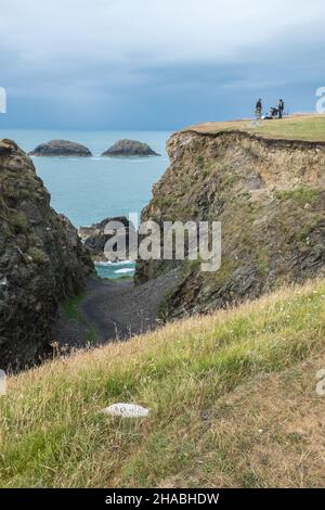 Wandern, Wanderer, Wanderer, Wandern, Wandern, Spaziergänger, auf, Pembrokeshire Coast Path,,in der Nähe, St Davids, Pfad, zwischen Porthgain, und, Abereiddy, Turm, atemberaubend, Aussicht, abgelegen, Bucht, und, Traeth Llyfn, Llyfn, Strand, Sandstrand, Pembrokeshire, Küste, Küste, Wales, Wales, Wales, Großbritannien, Großbritannien, Großbritannien, Großbritannien, Stockfoto