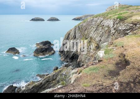 Wandern, Wanderer, Wanderer, Wandern, Wandern, Spaziergänger, auf, Pembrokeshire Coast Path,,in der Nähe, St Davids, Pfad, zwischen Porthgain, und, Abereiddy, Turm, atemberaubend, Aussicht, abgelegen, Bucht, und, Traeth Llyfn, Llyfn, Strand, Sandstrand, Pembrokeshire, Küste, Küste, Wales, Wales, Wales, Großbritannien, Großbritannien, Großbritannien, Großbritannien, Stockfoto