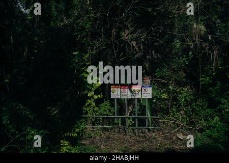 Warnschilder im Dschungel auf großer Insel, Hawaii - dez, 2020. Stockfoto