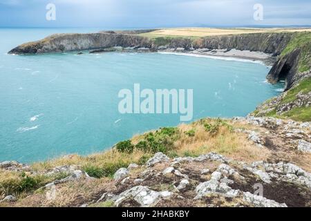 Wandern, Wanderer, Wanderer, Wandern, Wandern, Spaziergänger, auf, Pembrokeshire Coast Path,,in der Nähe, St Davids, Pfad, zwischen Porthgain, und, Abereiddy, Turm, atemberaubend, Aussicht, abgelegen, Bucht, und, Traeth Llyfn, Llyfn, Strand, Sandstrand, Pembrokeshire, Küste, Küste, Wales, Wales, Wales, Großbritannien, Großbritannien, Großbritannien, Großbritannien, Stockfoto