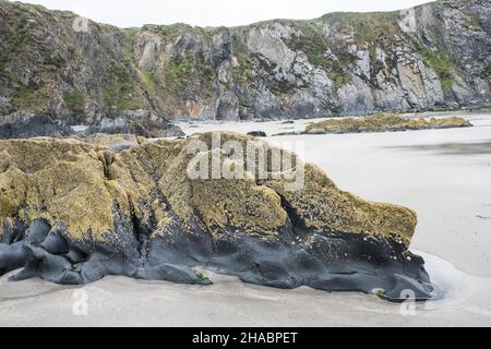 Wandern, Wanderer, Wanderer, Wandern, Wandern, Spaziergänger, auf, Pembrokeshire Coast Path,,in der Nähe, St Davids, Pfad, zwischen Porthgain, und, Abereiddy, Turm, atemberaubend, Aussicht, abgelegen, Bucht, und, Traeth Llyfn, Llyfn, Strand, Sandstrand, Pembrokeshire, Küste, Küste, Wales, Wales, Wales, Großbritannien, Großbritannien, Großbritannien, Großbritannien, Stockfoto