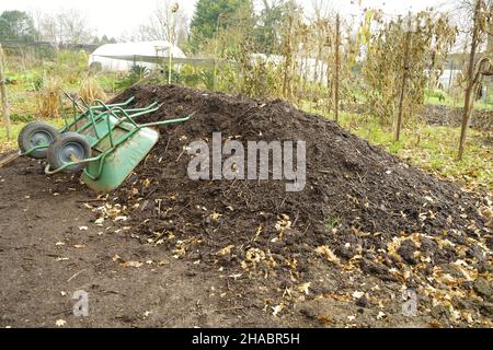 Grünmüllkompost auf einer Zuteilung im Winter. Stockfoto
